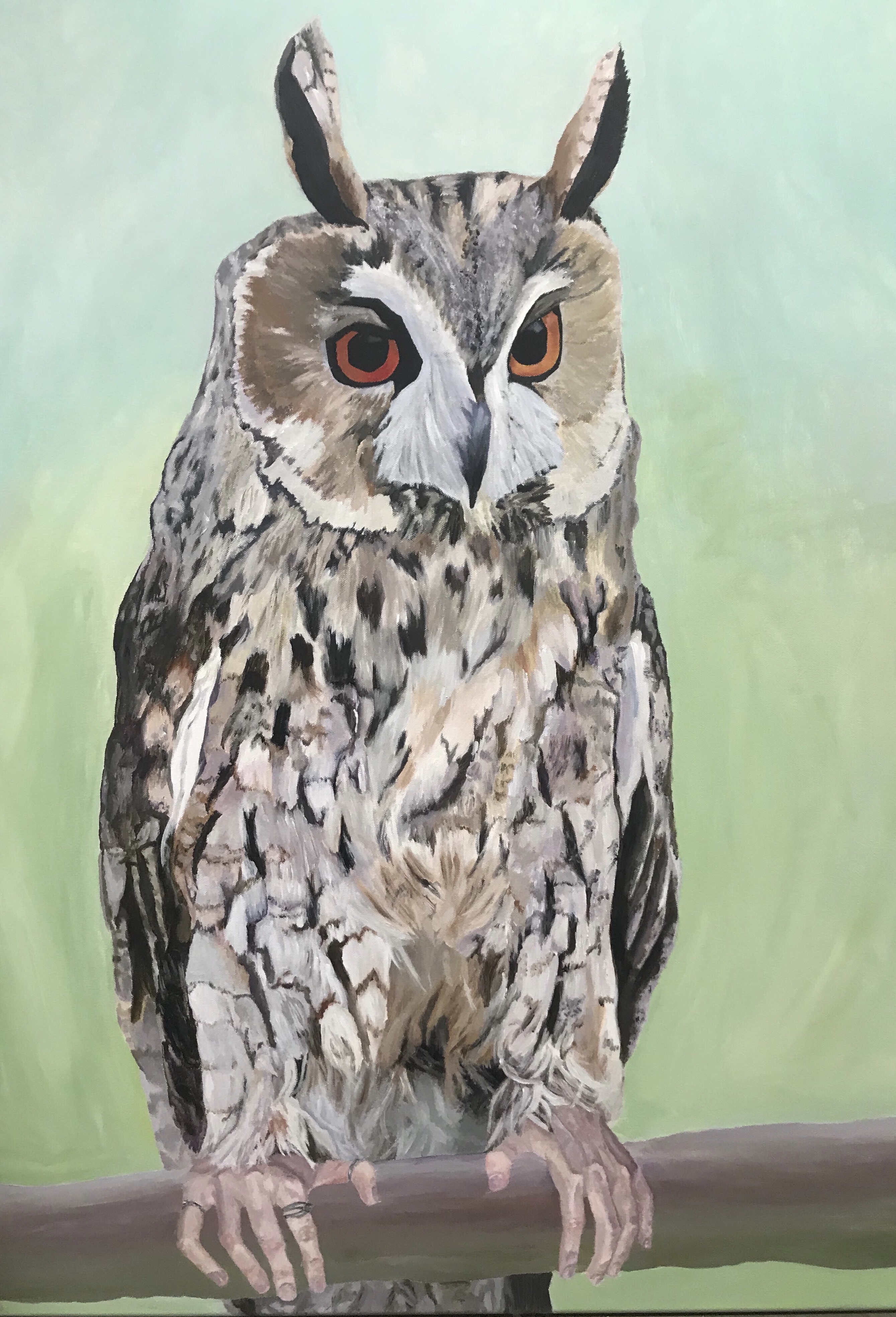 painting of an owl sitting on a branch with human hands instead of talons